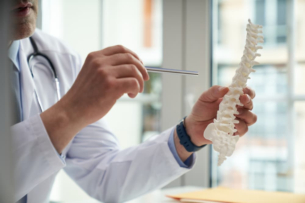 doctor explaining a spinal cord injury with prop